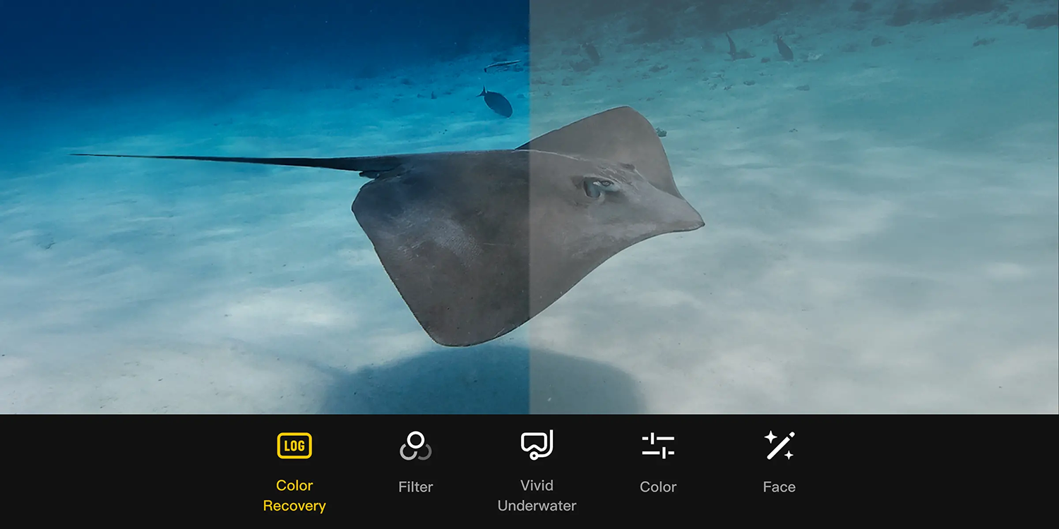 Korekcja kolorów D-Log M